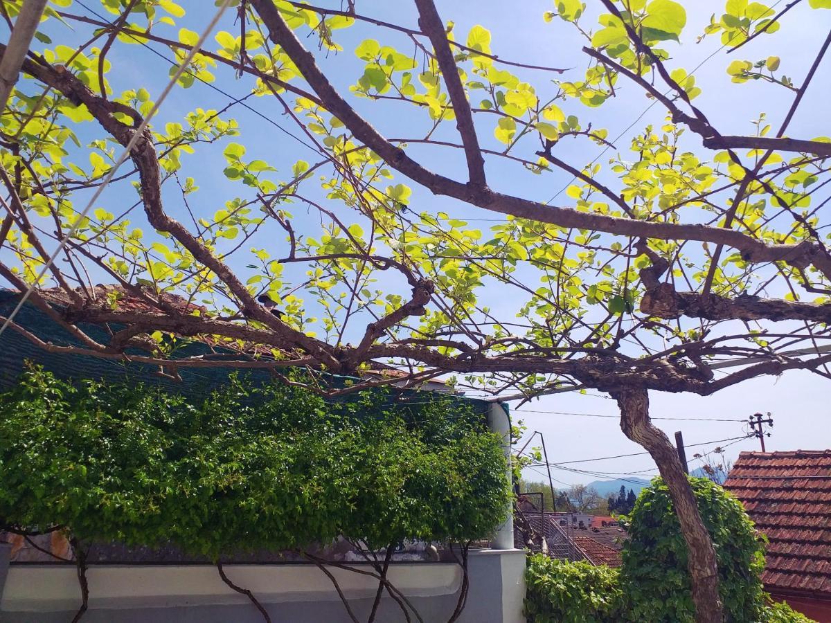 Apartman Kristina Capljina Ngoại thất bức ảnh